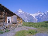 View from Grindelwald-Frist to Wetterhorn and Shreckhorn Mountains  Switzerland