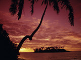 Silhouettes of Palm Trees and Desert Island at Sunrise  South Pacific  Pacific