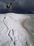 Jumping Above the Borax Deposits on Borders of Laguna Colorado  Bolivia  South America