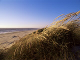 Coos Bay  on the Pacific Coast  Oregon  United States of America (USA)  North America