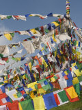 Buddhist Prayer Flags  Mcleod Ganj  Dharamsala  Himachal Pradesh State  India  Asia