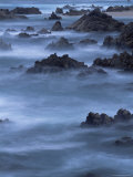 Coastline  Big Sur Coast  California  United States of America  North America