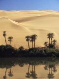 Oum El Ma (Umm El Ma) Lake  Mandara Valley  Southwest Desert  Libya  North Africa  Africa
