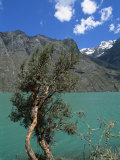 Glacial Water in Laguna Paron  Cordillera Blanca  Peru  South America