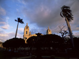 Palm Trees in Main Plaza and Grenada Cathedral  Grenada  Nicaragua  Central America