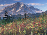 Landscape  Mount Rainier National Park  Washington State  United States of America  North America
