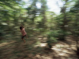 Local Boy Swings on Vine  Corcovado National Park  Peninsula De Osa  Costa Rica  Central America