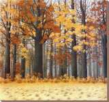 Autumn Wood