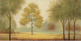 Tranquil Panorama