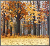 Autumn Wood