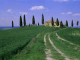 House and Cypress Trees  Val d'Orcia  Province of Siena  Tuscany  Italy  Europe