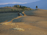 Sienna Province  Farmhouse Near Pienza  Tuscany  Italy