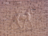 Lion Brick Relief  Nebuchadnezzar's Palace  Babylon  Iraq  Middle East