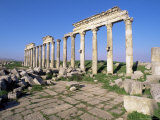 Qalaat Al-Moudiq  Apamea  Lattakia  Syria  Middle East