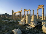 The Archaeological Site  Palmyra  Unesco World Heritage Site  Syria  Middle East