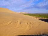 Khongoryn Els Dunes  Gobi Desert  Gobi National Park  Omnogov  Mongolia