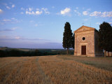 Sienna Province  Chapel and Cypress  Tuscany  Italy