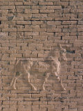 Animal in Relief on the Wall of the South Palace  Archaeological Site of Babylon  Iraq  Middle East