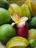 Orchid and Fruit  Les Jardins Du Roy  Mahe  Seychelles