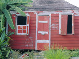 Old Chattel House  St John's  Antigua  West Indies  Caribbean