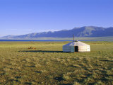 Nomad Camp  Uureg Nuur Lake  Uvs  Mongolia
