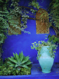 Majorelle Gardens  Marrakesh  Morocco  North Africa