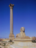 Pompey's Pillar  Alexandria  Egypt  North Africa