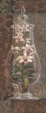 Asian Apothecary I