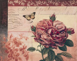 Le Rose a Monte I