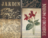 Belle Jardin I