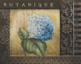 Botanique I