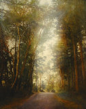 Road of Mysteries II