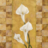 Flora del Rey II