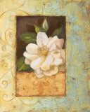 Antique Rose II