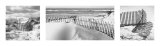 Beach Fences