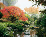 Japanese Garden I