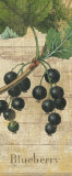 Country Fruits I