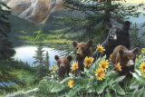 Basking in the Balsam