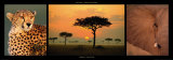 African Savannah