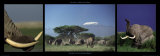 Elephants and Kilimanjaro