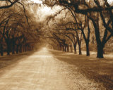 Savannah Oaks II