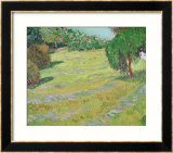 Field in Sunlight  c1888