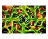 Convolution