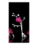 Orchid Silhouette