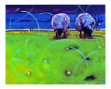 Night Sheep
