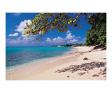 Seven Mile Beach North End