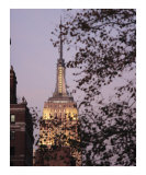 Empire State Building Through the Trees