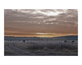 Frosty Sunrise