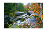 Rocky Creek During Fall White Mountains