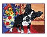 Curious Boston Terrier